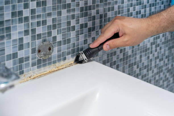 Best Local Mold Removal Service  in Point Pleasant, NJ