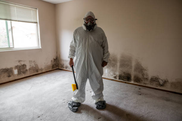 Best Certified Mold Removal  in Point Pleasant, NJ